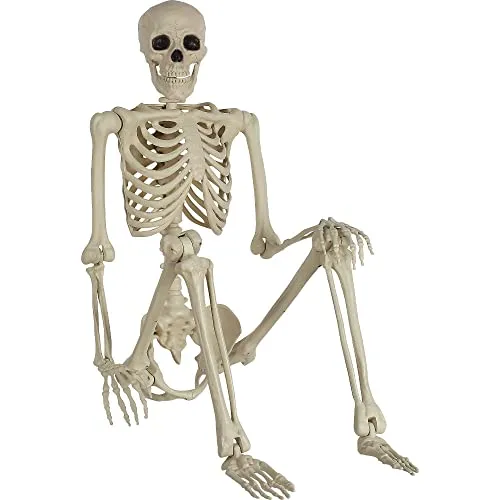 5' Posable Skeleton