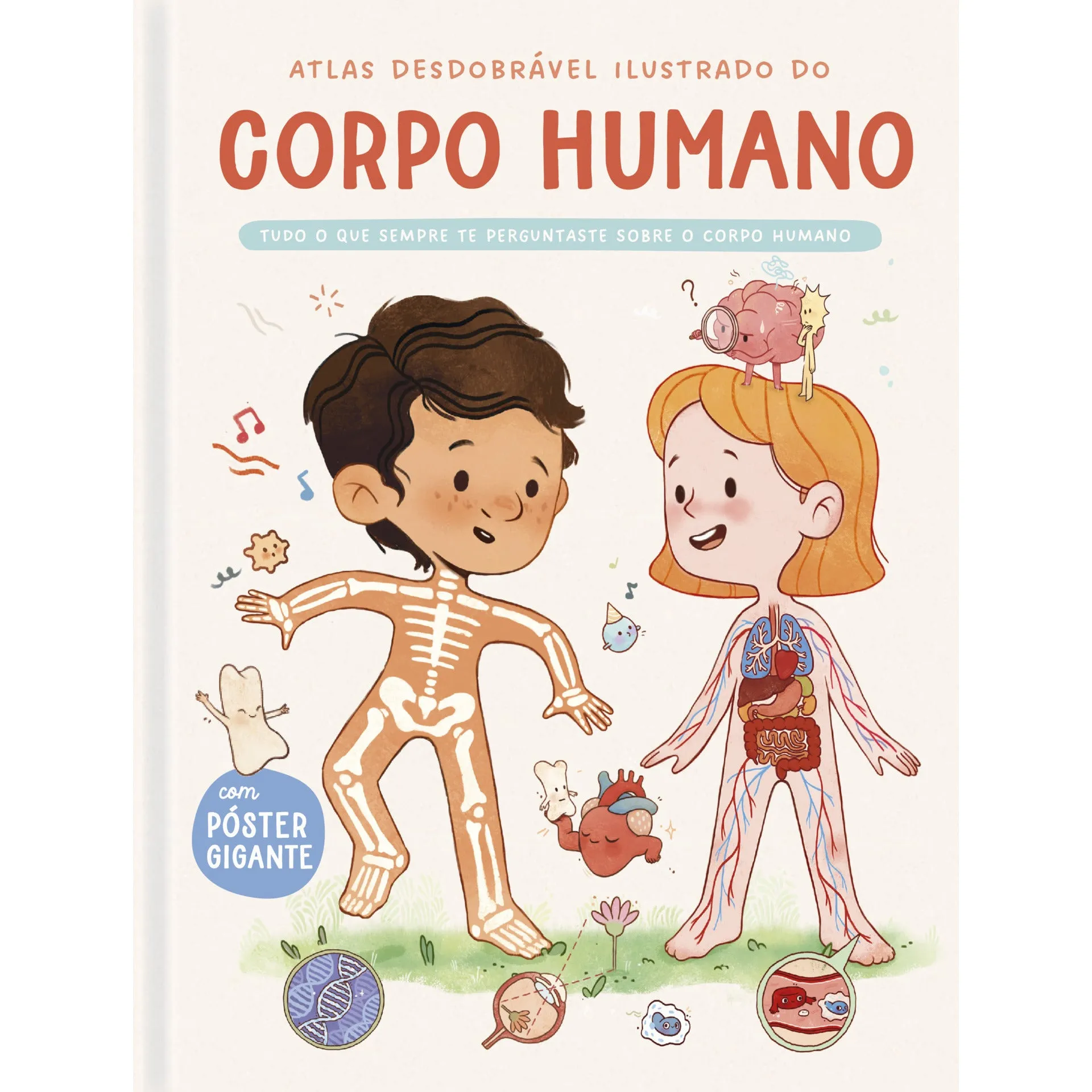 Atlas Desdobrável Ilustrado - Corpo Humano de YOYO BOOKS